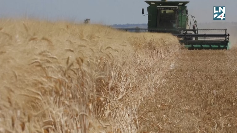 Importations agricoles d’Ukraine : l'UE renforce les restrictions